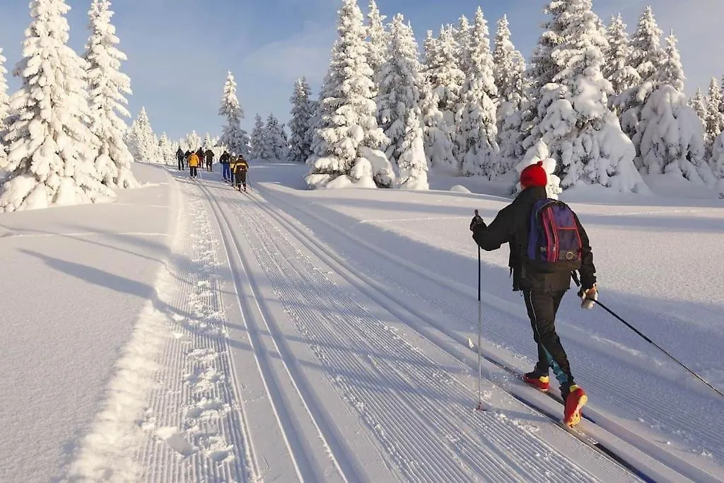Appartamento Mountain Paradise Ponte Di Legno Tonale Holiday home