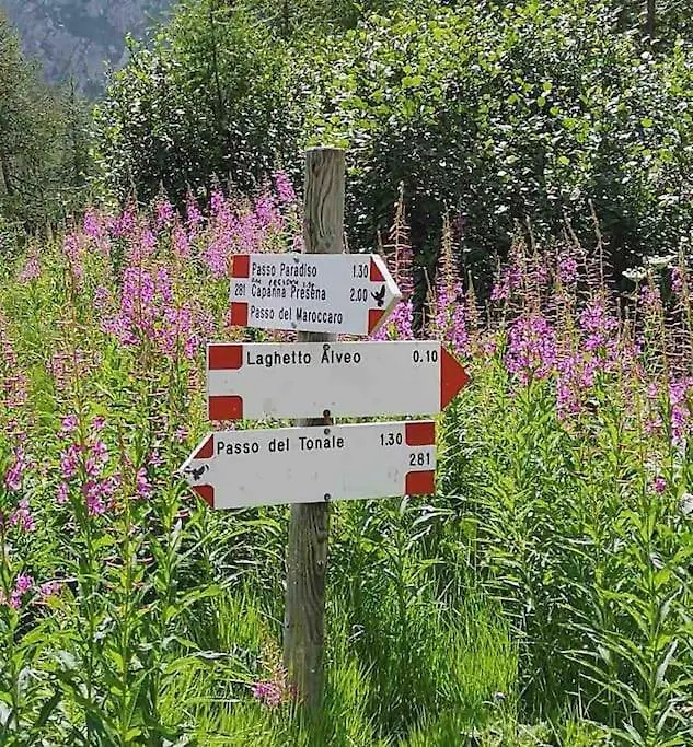 Appartamento Mountain Paradise Ponte Di Legno Tonale Italy